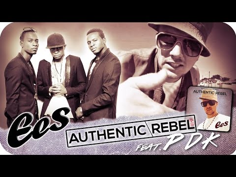 EES feat. PDK - "Satellite Connection" (Album Teaser)