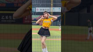 【瑄】安打上壘曲#PassionSisters#台湾チアリーディングチーム チーム#中華職棒#CPBL#洲際#20240927