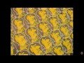 Adam F - Metropolis