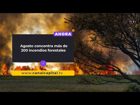 Cundinamarca registra 656 incendios forestales en lo corrido de 2026 | Emergencias