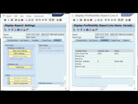 SAP HANA: Accelerating SAP Profitability Analysis (CO-PA)
