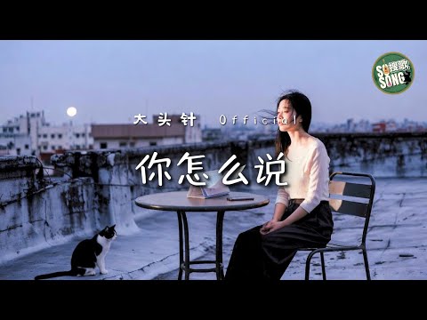大頭針 Official - 你怎麼說｜Da Tou Zhen - Ni Zen Me Shuo (Ni Zen Me Shuo)【高音質・拼音動態歌詞】你怎么说 - 大头针 Official