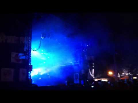 Martin solveig Francofolies Spa 2011 Duck sauce