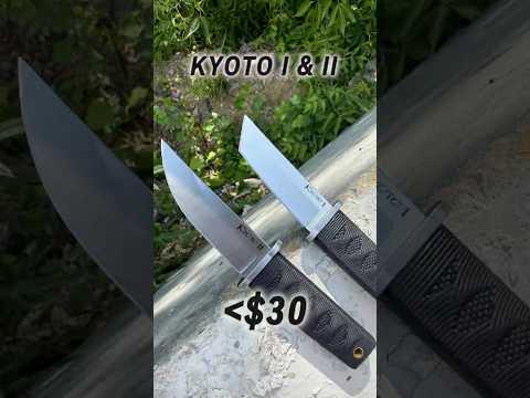 EDC for 2 weeks Cold Steel Slock Master review