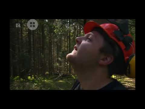 Krumm wie Banane feat. Max Grünzinger