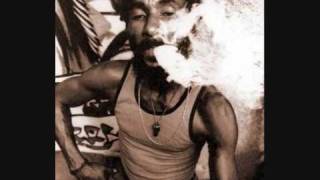 Lee Scratch Perry - Black Board Jungle