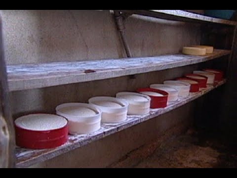 CRA aprova novas regras para a produção de queijos artesanais
