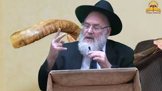 השופר מחזיר אותנו לנקודת החפץ בחיים! הרב מנחם שטיין (קו ההלכה הספרדי) - התמונה מוצגת ישירות מתוך אתר האינטרנט יוטיוב. זכויות היוצרים בתמונה שייכות ליוצרה. קישור קרדיט למקור התוכן נמצא בתוך דף הסרטון השופר מחזיר אותנו לנקודת החפץ בחיים! הרב מנחם שטיין (קו ההלכה הספרדי) - התמונה מוצגת ישירות מתוך אתר האינטרנט יוטיוב. זכויות היוצרים בתמונה שייכות ליוצרה. קישור קרדיט למקור התוכן נמצא בתוך דף הסרטון