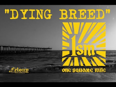One Square Mile (1SM) - Dying Breed