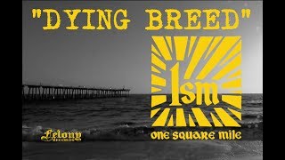One Square Mile (1SM) - Dying Breed