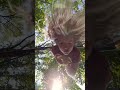 Wait Am I Hanging Upside Down