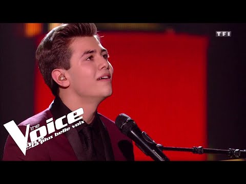 The Blues Brothers (Everybody needs somebody) | Raffi Arto | The Voice 2018 | Lives