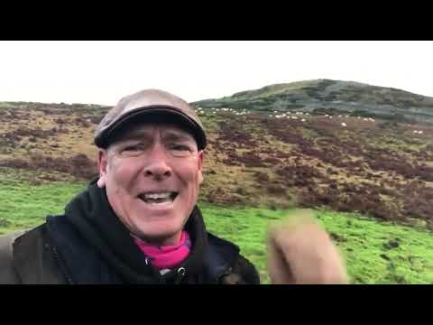 We need to utilise wool not believe the Vegan properganda #farming #sheep #wool 