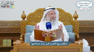 3305 - حكم بيع الثمرة قبل بُدوِّ صلاحها - عثمان الخميس