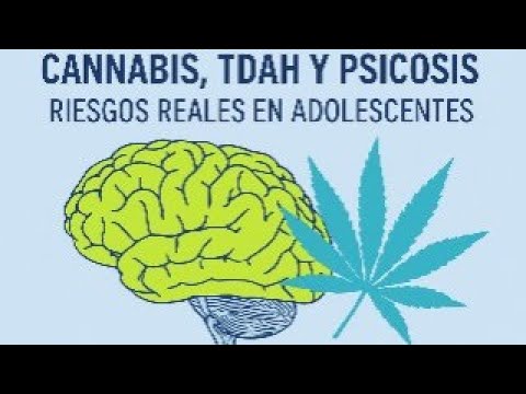 Daniel Martín Fernández-Mayoralas-12