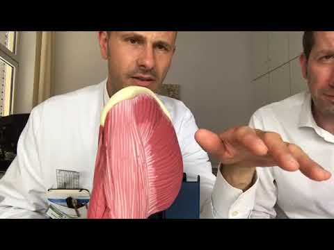 Minimalinvasives Operieren an der Hüfte - so geht eine Hüft-TEP