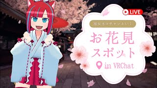 【全身3D / フルトラ】巫女ネコチャンとお花見雑談🌸【マリーさん / Vtuber】