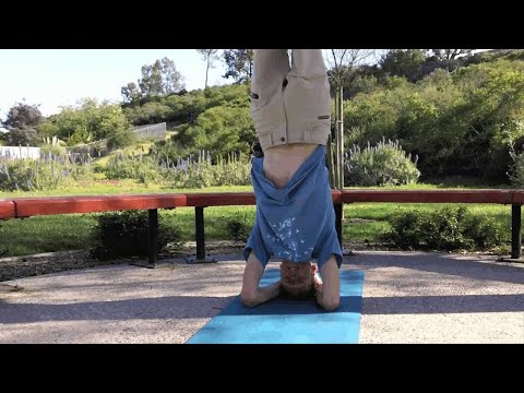 File Vaulting with Windchill Objects - PTC