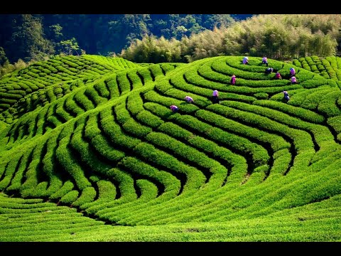 2023 Brief of Taiwan’s Agriculture_ Agriculture for the Future - Linking Taiwan to the World (English edition)