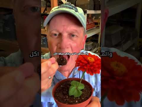 ما تراه في الأفلام ليس حقيقيًا🎥