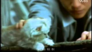 [討論] 張震(47)演戲改用配音有搞頭嗎？