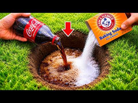 Pour Coca-Cola and baking soda into a hole! Great DIY ideas to save you money.