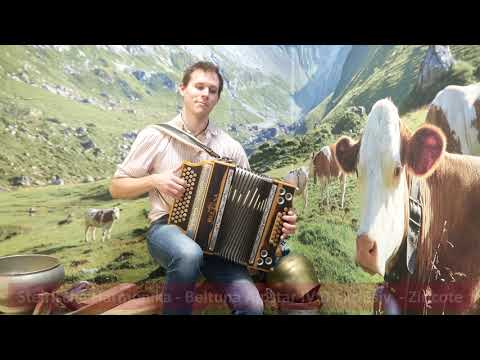 Steirische Harmonika - Beltuna Alpstar IV D Exclusiv - Ziricote - Auf der Autobahn / Alpenecho