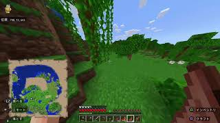 無言マイクラ