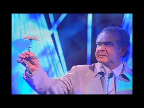 Uma Folha Que Caiu video