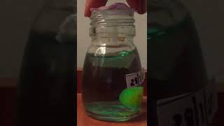 THIS GUY IS 2 MONTHS OLD |update of preserved grapes 🍇 #preserve #youtubeshorts  #ytshorts