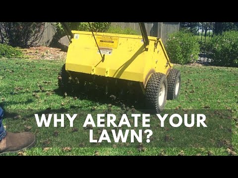 Why is aeration necessary | Lawn Care