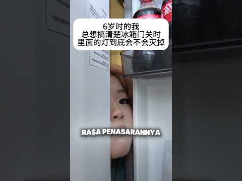 Rahasia Lampu Kulkas Mati Otomatis