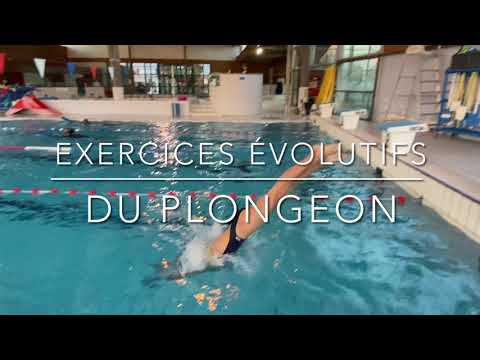 Dossier technique éducatifs évolutifs pour le plongeon départ