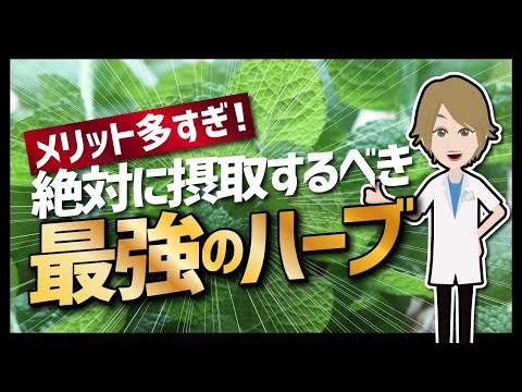 タンジェリンの利点 – その目的と使用方法
