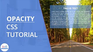 Opacity in CSS | CSS Transparent Background Color