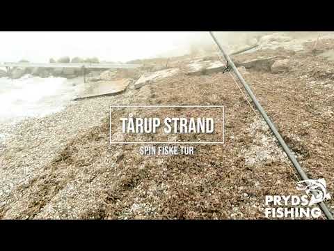 Tårup Strand Havørred Fiskeri