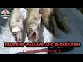 Video Thumbnail for How to clean fish (Walleye and Sucker Fish)