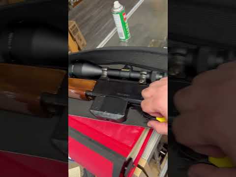 Remington Model 4 243