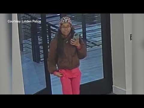 Linden Package Thefts