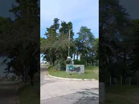 Sauce Montrull. Dto. Sauce. Parana Campaña. Entre Rios . Parte 3