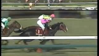 Re: [情報] 馬娘X集英社 新漫畫企劃 櫻花桂冠