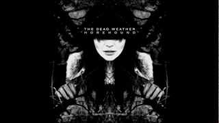 60 Feet Tall - The Dead Weather (Acoustic Cover)