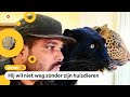 Deze man blijft in Oekraïne voor zijn panter en jaguar