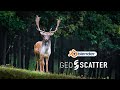 How To Create This Cinematic Scene In Blender Using Geo Scatter