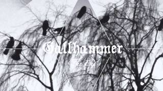Gallhammer- Sober