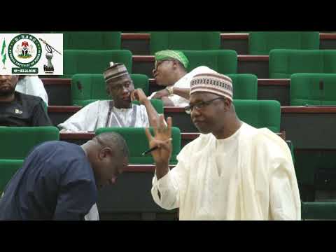 Hon Sada Soli Jibia,,23 July 2019   Motion on violent protest and attack on government agents by Shi