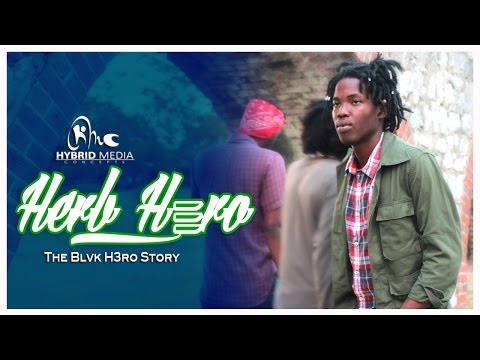 Herb Hero: The Blvk H3ro Story (PART 2 )