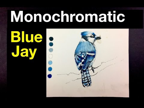 Beginner Watercolor Exercise | Monochromatic Painting of a Bird | Blue Jay