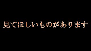 見てほしいものがあります