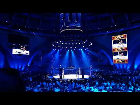 KSW 43- Damian Janikowski knockout